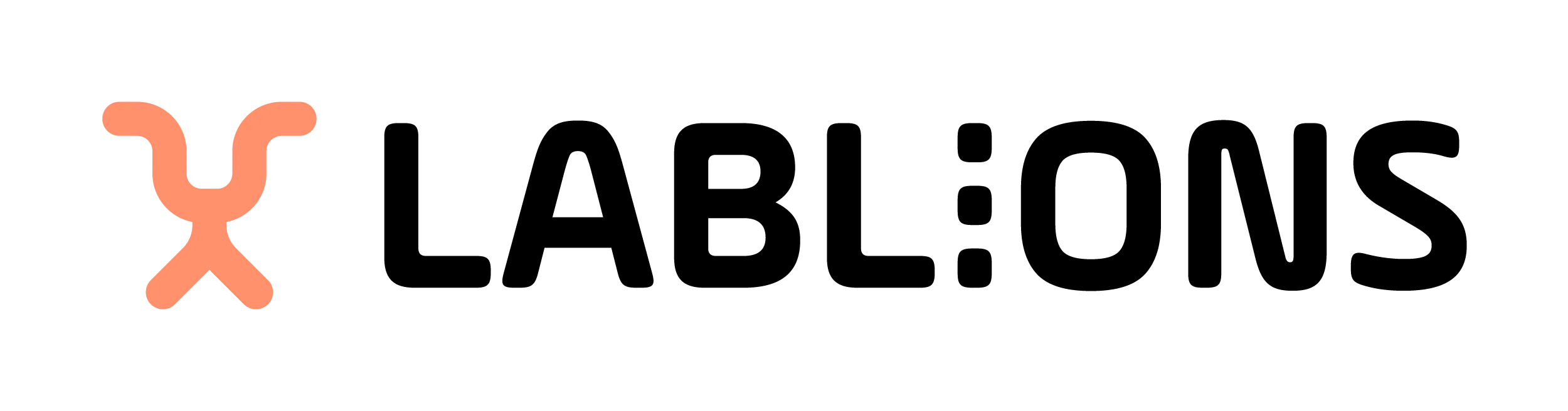 LABLIONS software & solutions GmbH