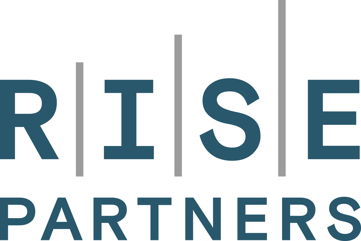 RISE PARTNERS Audit GmbH